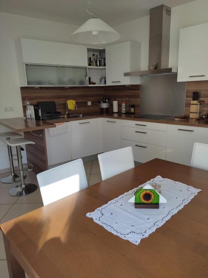 Rocco'S Apartment - In Centro A מראנו מראה חיצוני תמונה